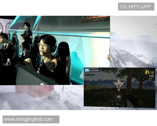 深入分析V5战队的区域防守策略与战术布局