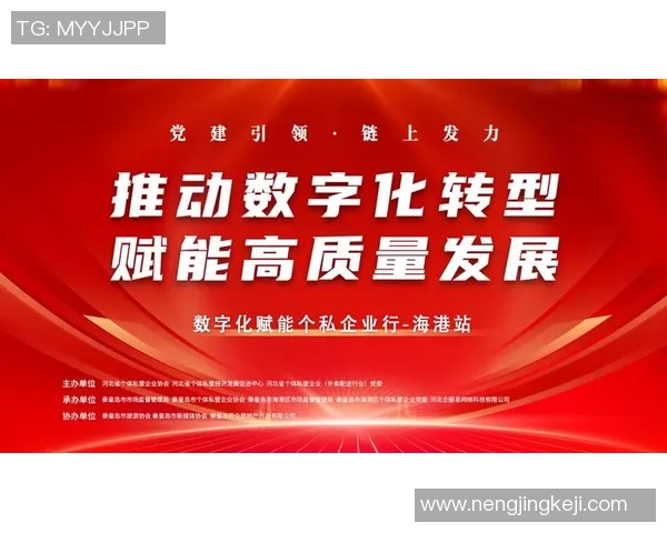 数字化转型引领未来经济发展新趋势，企业如何抓住这一机遇实现跃升